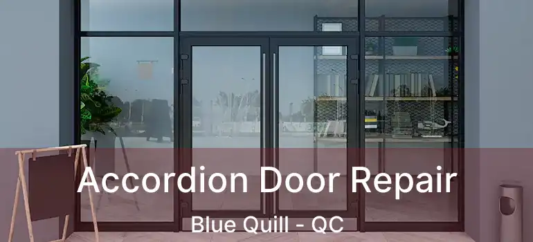 Accordion Door Repair Blue Quill - QC