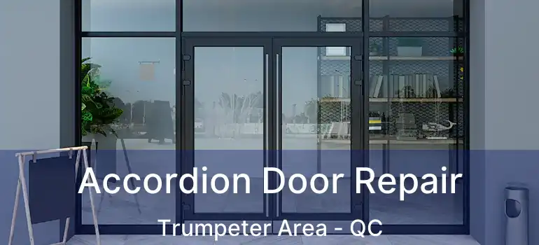  Accordion Door Repair Trumpeter Area - QC
