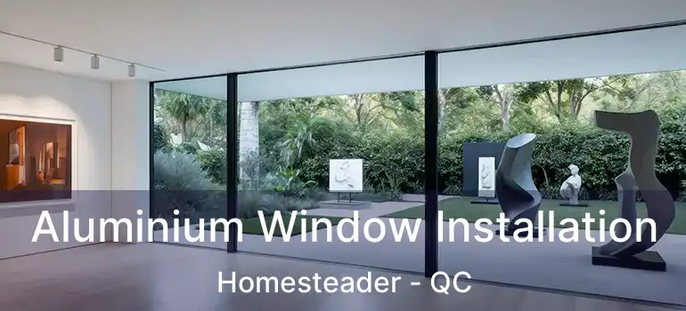Aluminium Window Installation Homesteader - QC