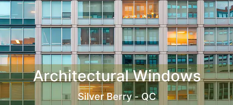  Architectural Windows Silver Berry - QC