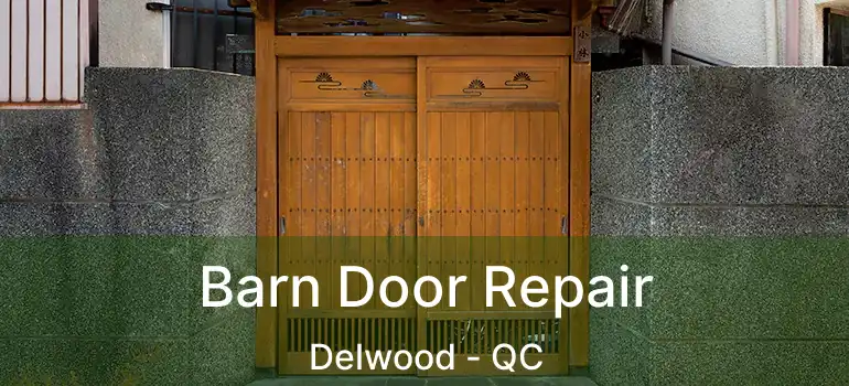 Barn Door Repair Delwood - QC