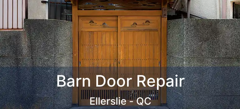 Barn Door Repair Ellerslie - QC