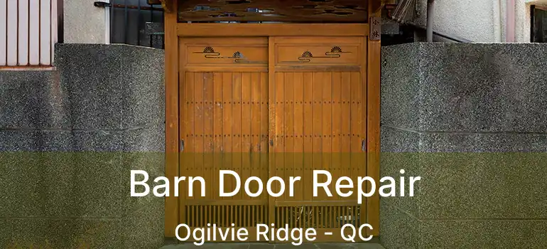  Barn Door Repair Ogilvie Ridge - QC