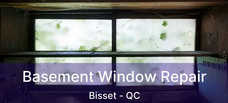  Basement Window Repair Bisset - QC