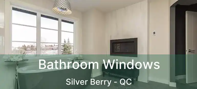  Bathroom Windows Silver Berry - QC