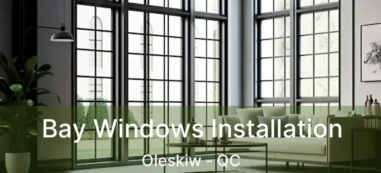  Bay Windows Installation Oleskiw - QC