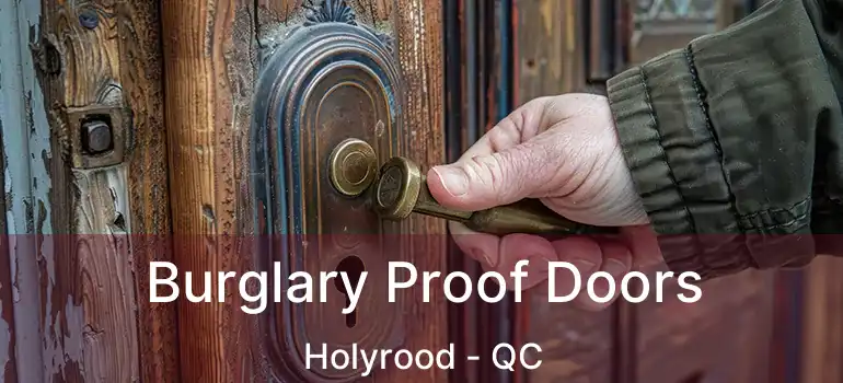  Burglary Proof Doors Holyrood - QC