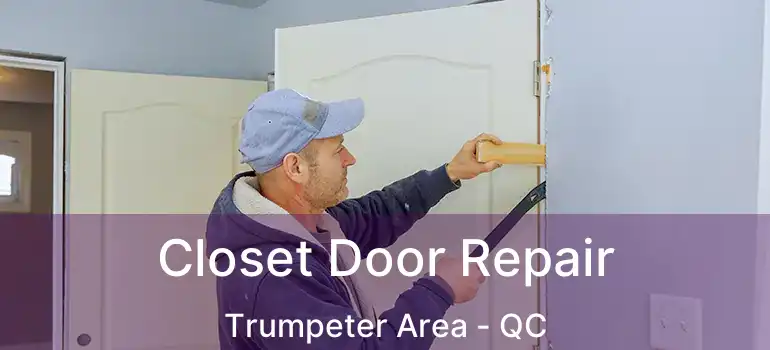 Closet Door Repair Trumpeter Area - QC