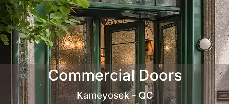  Commercial Doors Kameyosek - QC