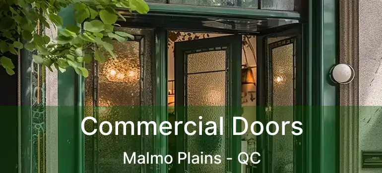 Commercial Doors Malmo Plains - QC