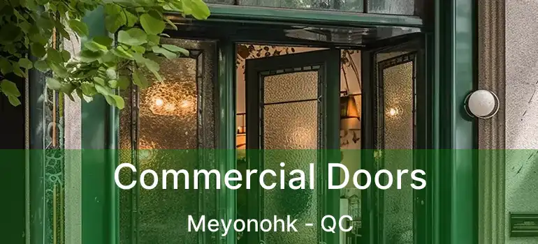 Commercial Doors Meyonohk - QC
