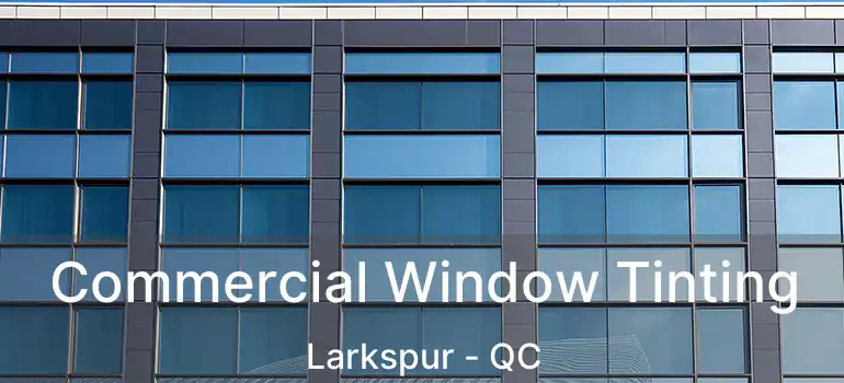 Commercial Window Tinting Larkspur - QC