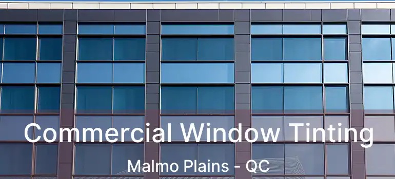 Commercial Window Tinting Malmo Plains - QC