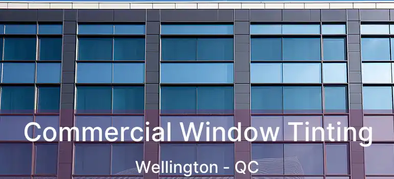  Commercial Window Tinting Wellington - QC