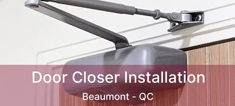  Door Closer Installation Beaumont - QC