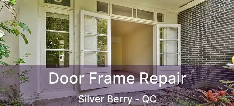 Door Frame Repair Silver Berry - QC
