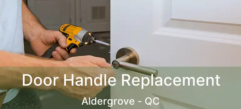 Door Handle Replacement Aldergrove - QC