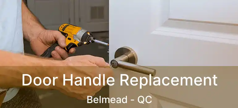  Door Handle Replacement Belmead - QC
