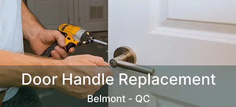  Door Handle Replacement Belmont - QC