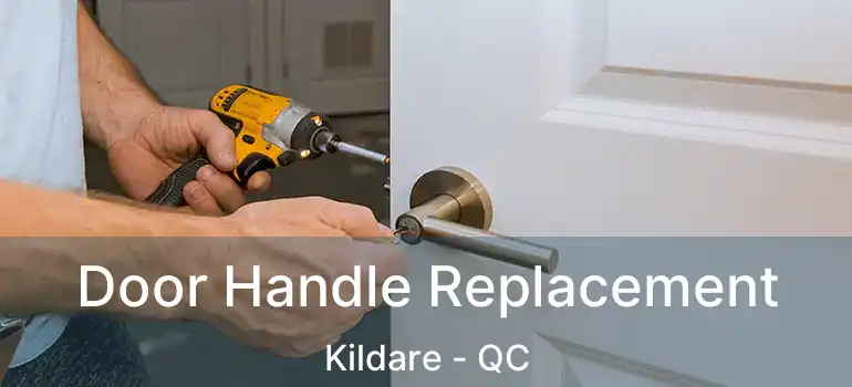 Door Handle Replacement Kildare - QC