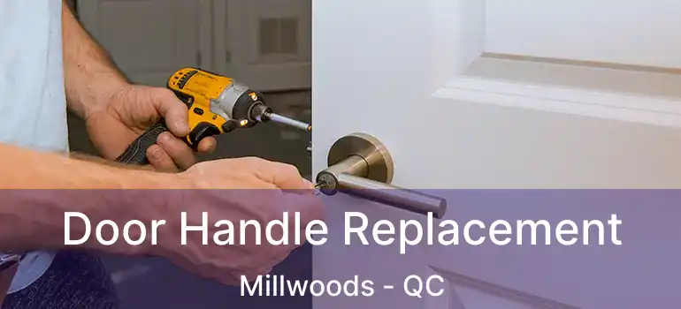  Door Handle Replacement Millwoods - QC
