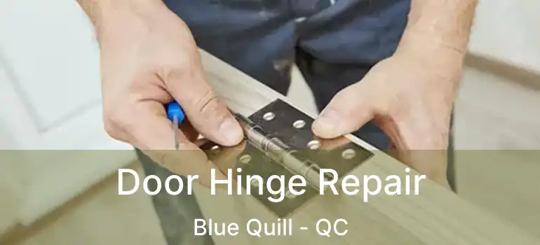  Door Hinge Repair Blue Quill - QC