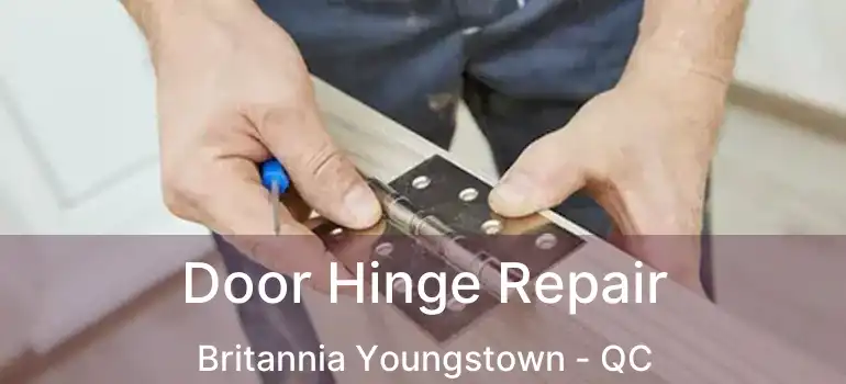  Door Hinge Repair Britannia Youngstown - QC