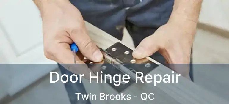  Door Hinge Repair Twin Brooks - QC