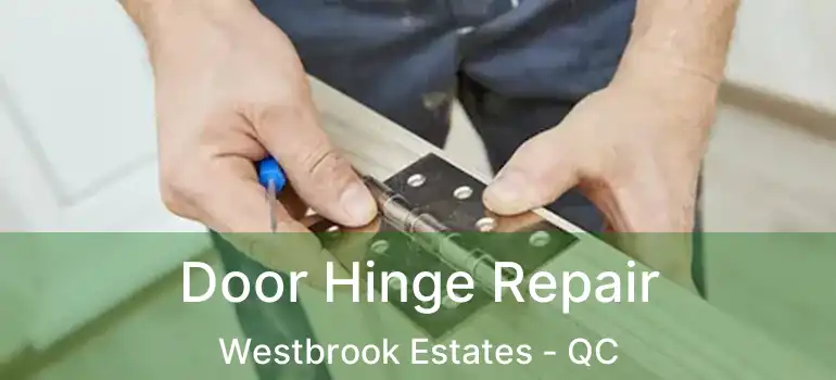  Door Hinge Repair Westbrook Estates - QC