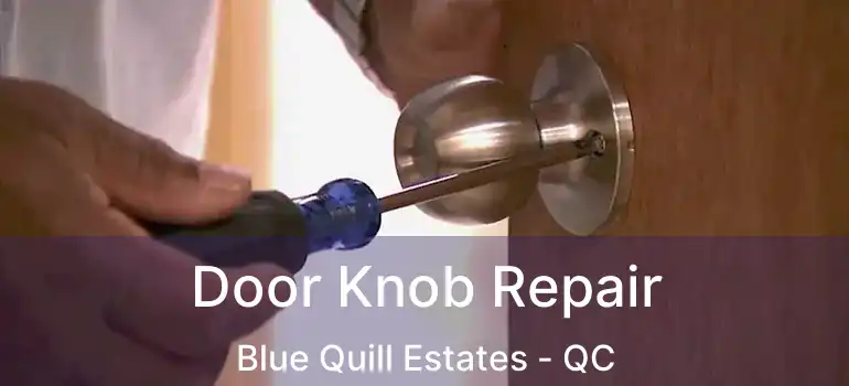  Door Knob Repair Blue Quill Estates - QC