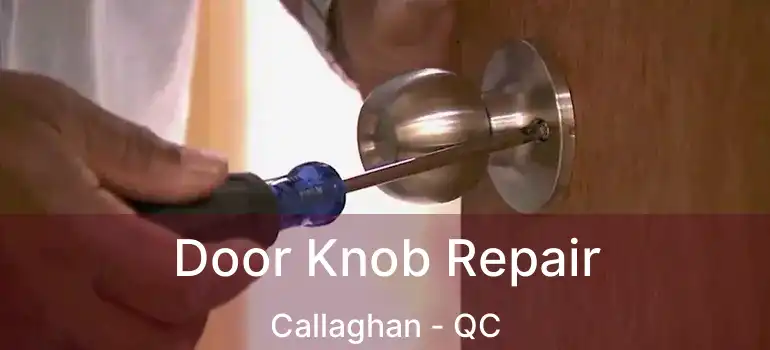  Door Knob Repair Callaghan - QC