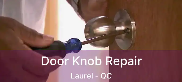  Door Knob Repair Laurel - QC