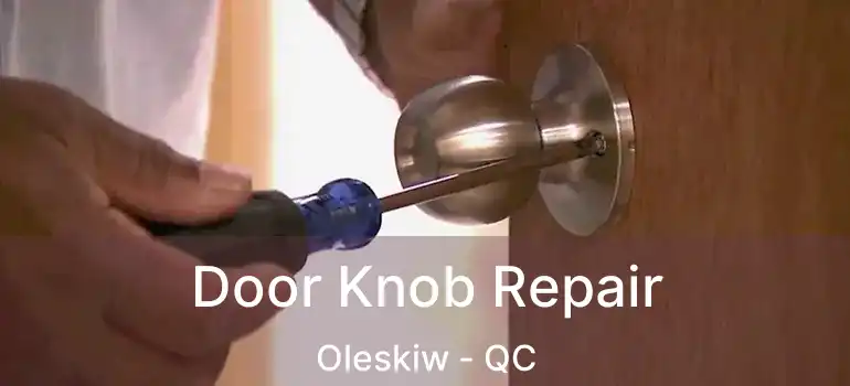  Door Knob Repair Oleskiw - QC