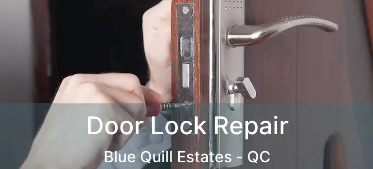  Door Lock Repair Blue Quill Estates - QC