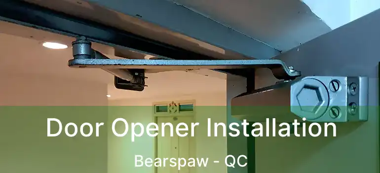 Door Opener Installation Bearspaw - QC