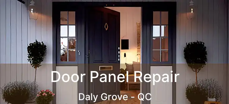  Door Panel Repair Daly Grove - QC