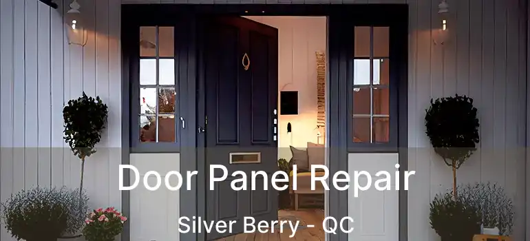  Door Panel Repair Silver Berry - QC