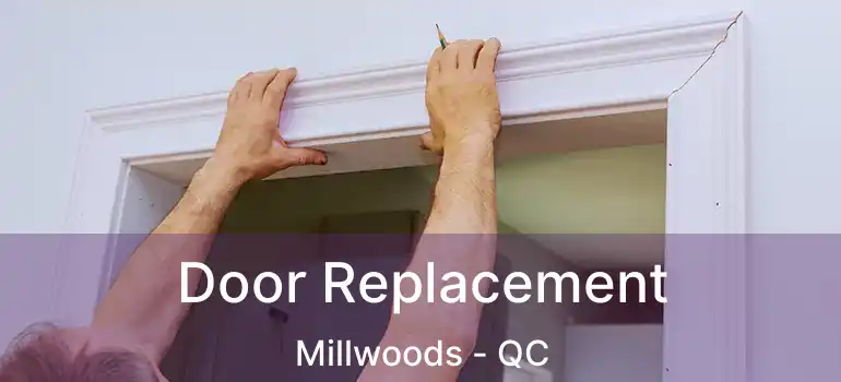  Door Replacement Millwoods - QC