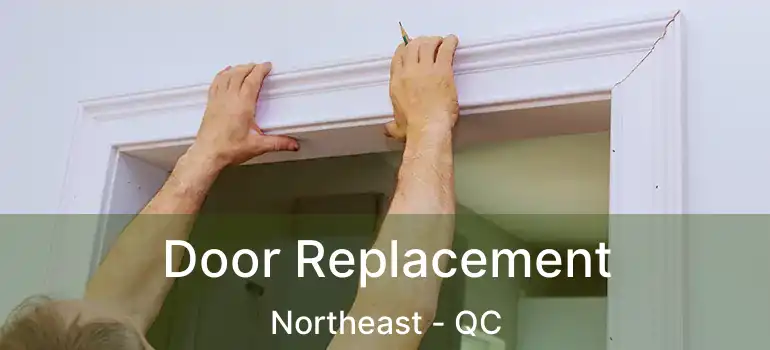  Door Replacement Northeast - QC