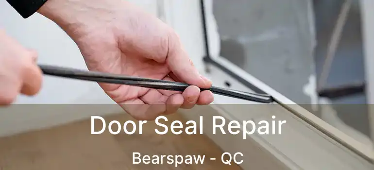  Door Seal Repair Bearspaw - QC