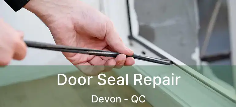  Door Seal Repair Devon - QC