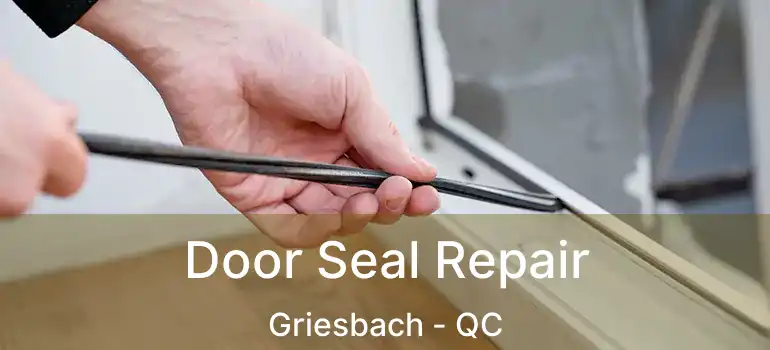  Door Seal Repair Griesbach - QC