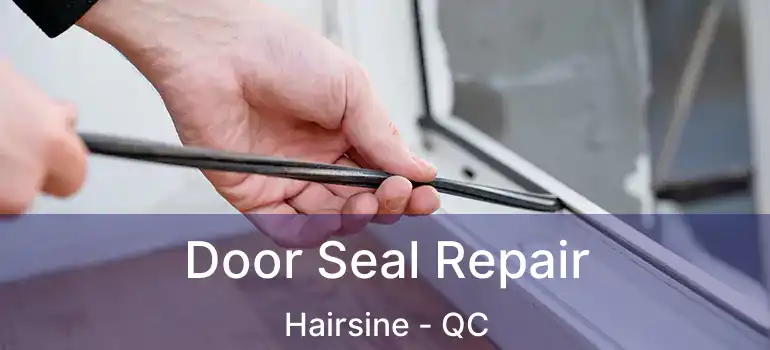  Door Seal Repair Hairsine - QC
