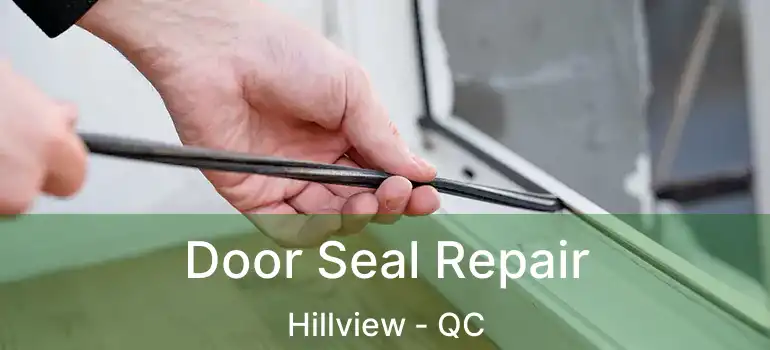  Door Seal Repair Hillview - QC