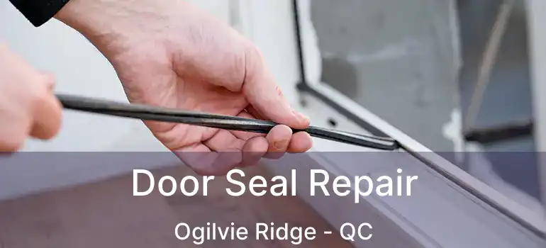  Door Seal Repair Ogilvie Ridge - QC
