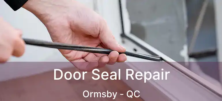  Door Seal Repair Ormsby - QC