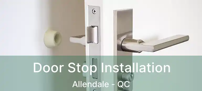  Door Stop Installation Allendale - QC