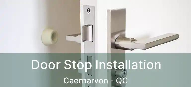  Door Stop Installation Caernarvon - QC
