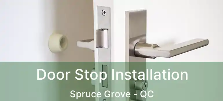  Door Stop Installation Spruce Grove - QC