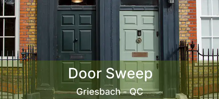 Door Sweep Griesbach - QC